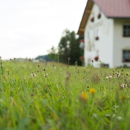 Pension Waldesruh Hotel Sankt Oswald-Riedlhuette Kültér fotó