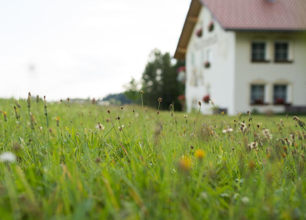 Pension Waldesruh Hotel Sankt Oswald-Riedlhuette Kültér fotó