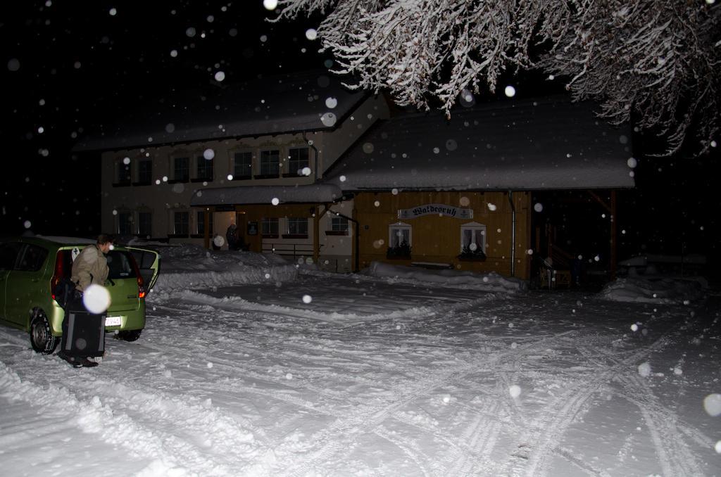 Pension Waldesruh Hotel Sankt Oswald-Riedlhuette Kültér fotó