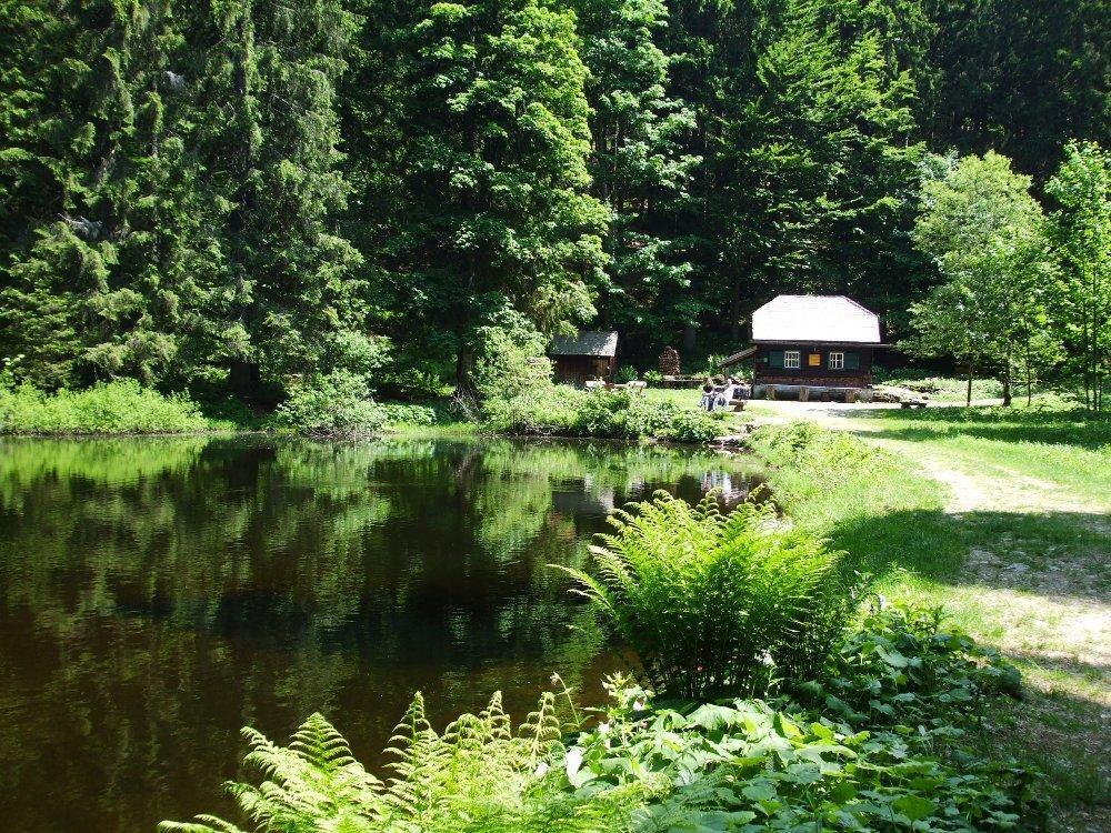 Pension Waldesruh Hotel Sankt Oswald-Riedlhuette Kültér fotó